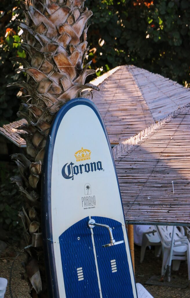 Tabla de surf corona