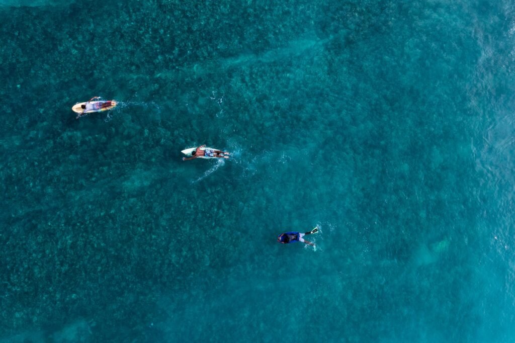 Surfistas en el oceano